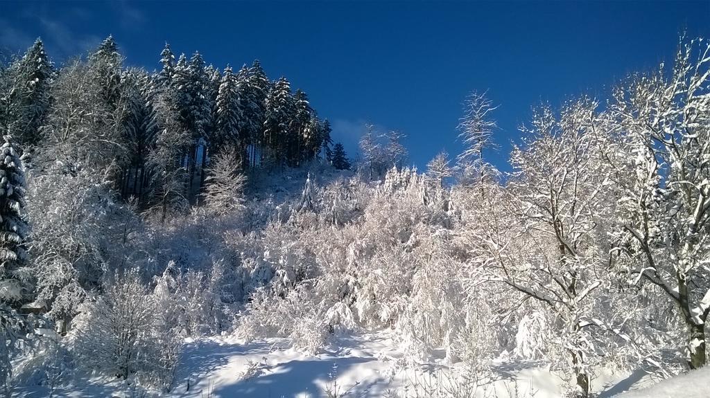 Gaestehaus Buendge Kamschlacken Bagian luar foto